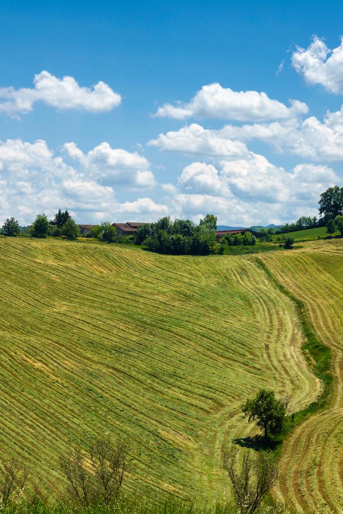 rural-landscape-near-sala-baganza-and-fornovo-par-2023-11-27-05-14-46-utc (1)